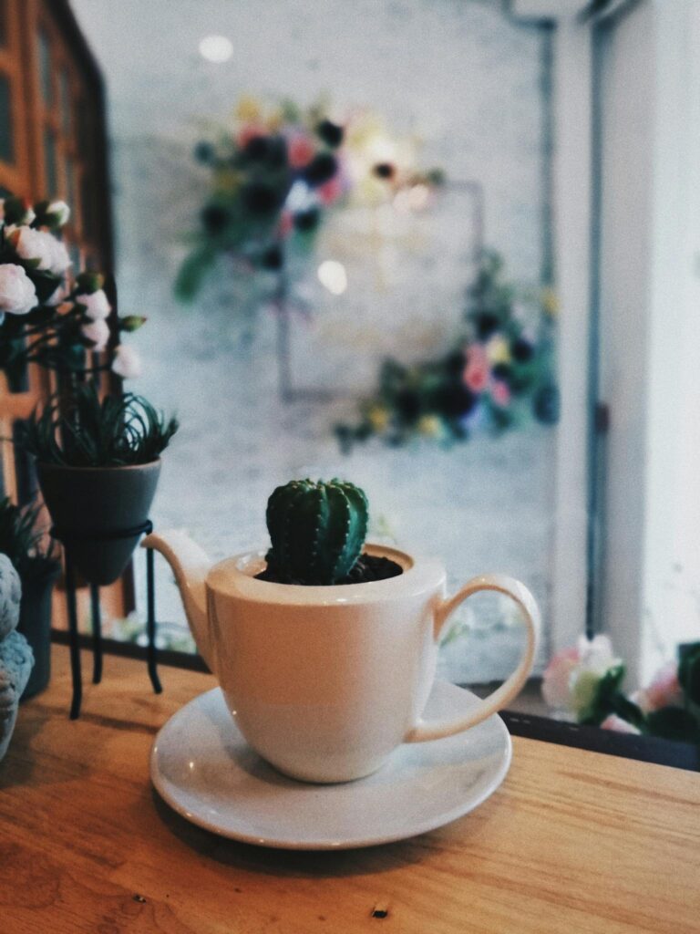 A cute cactus in a teapot planter adds charm to a cozy indoor setting.