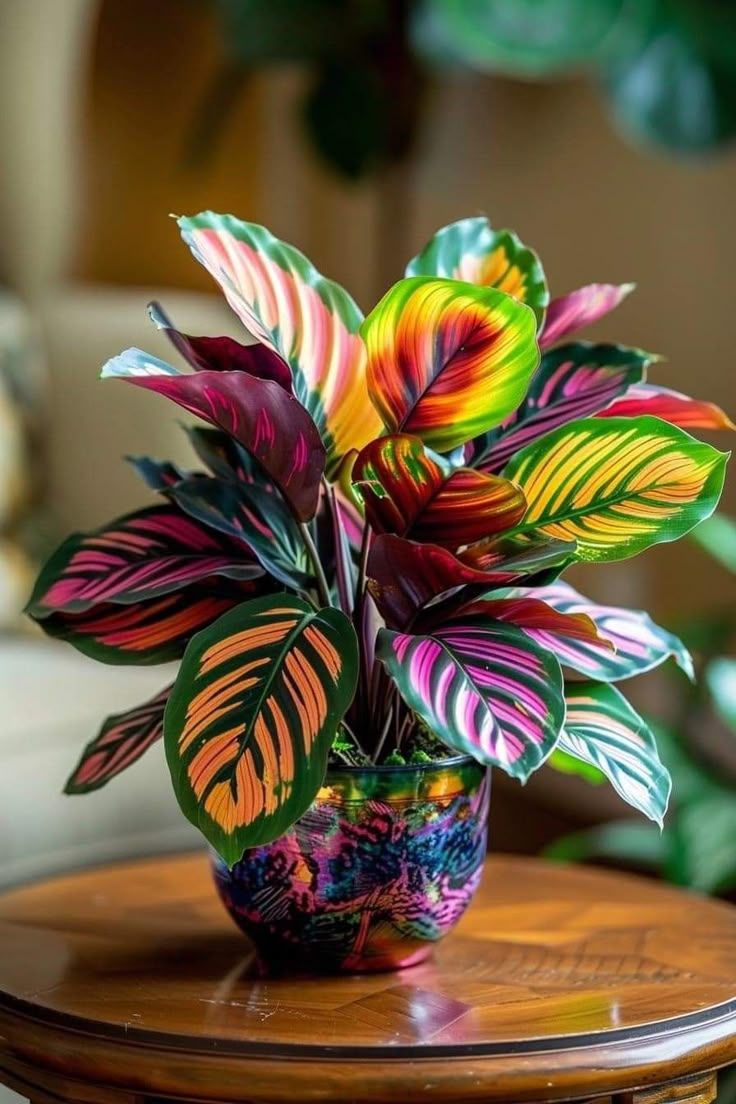 plantas seguras que debes tener en tu hogar